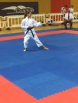 Championnat national de Kata 2015